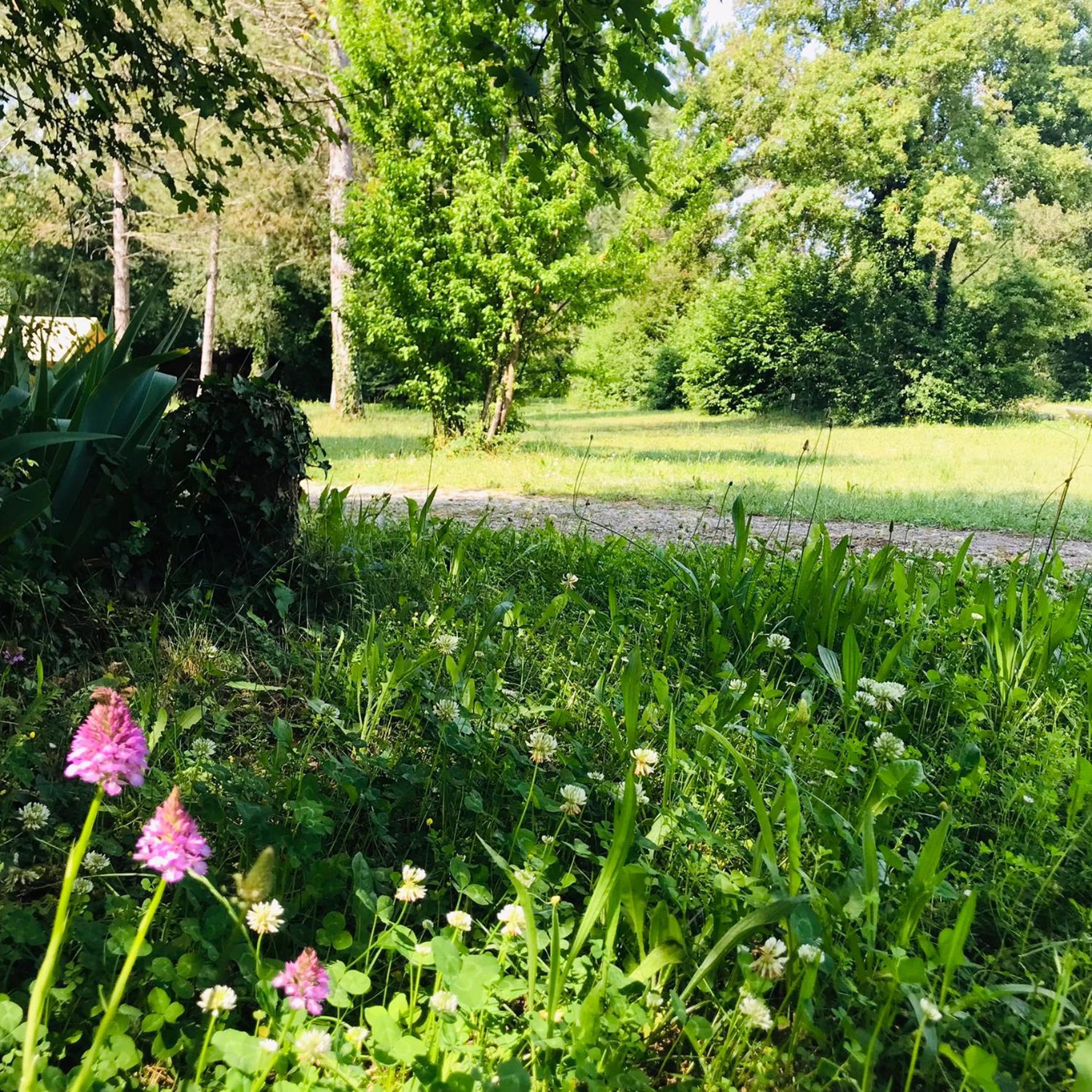 Camping La Vaugelette - Drome Montclar-sur-Gervanne Dış mekan fotoğraf